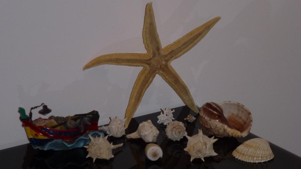 Sea Star Lägenhet Cefalù Rum bild